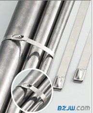 温州MLG-130ST株式不锈钢扎带 品质推荐与选购指南